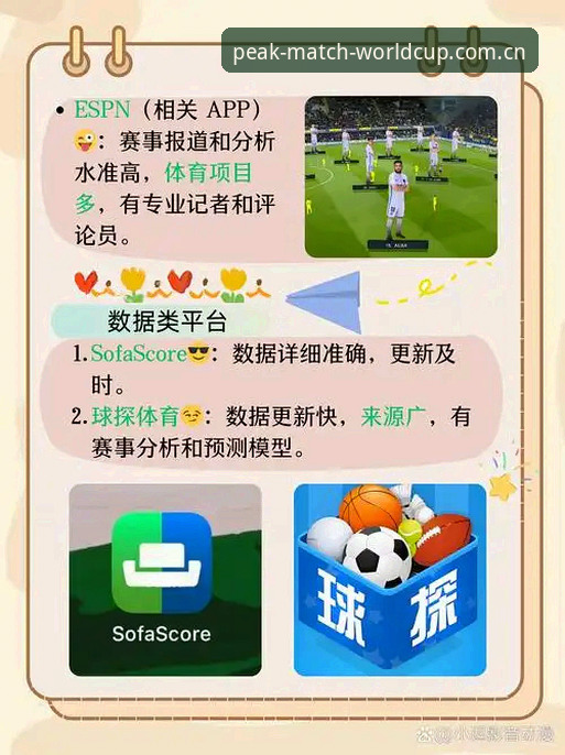 世界杯体育APP国外版使用详解，新手也能快速上手